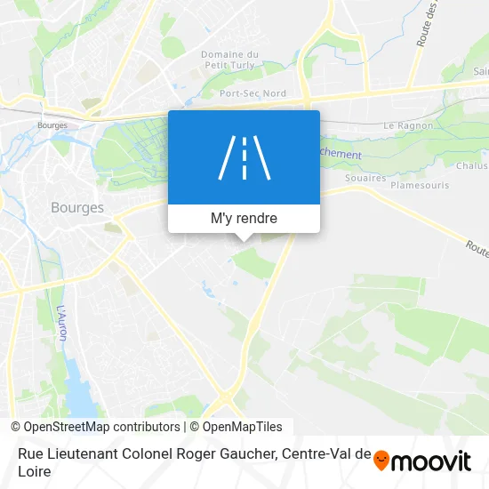 Rue Lieutenant Colonel Roger Gaucher plan