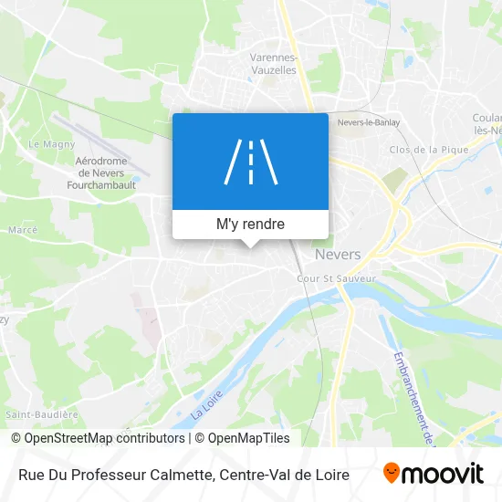 Rue Du Professeur Calmette plan