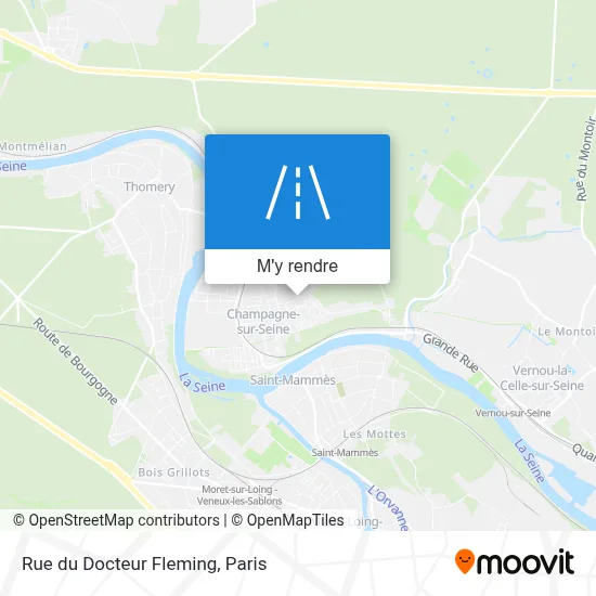 Rue du Docteur Fleming plan