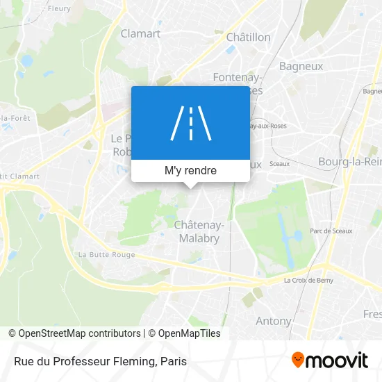 Rue du Professeur Fleming plan