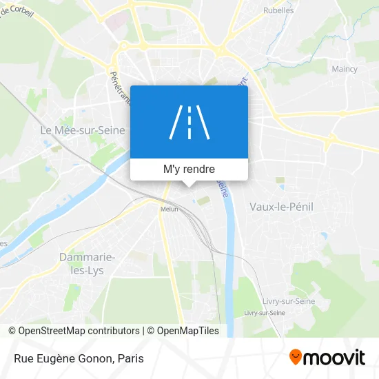 Rue Eugène Gonon plan