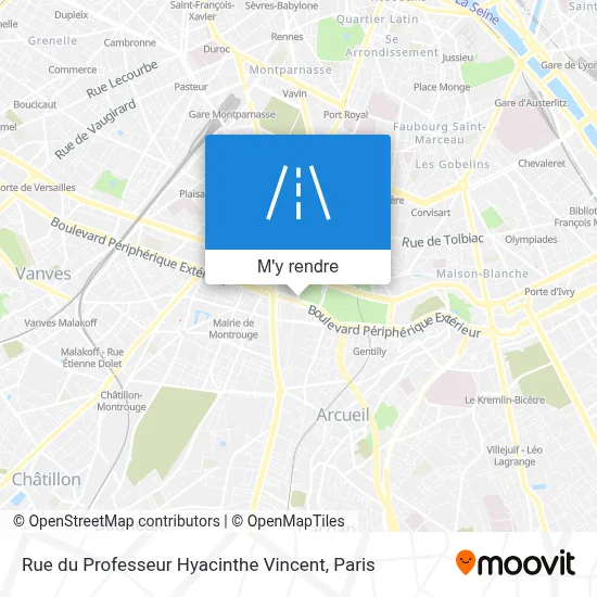 Rue du Professeur Hyacinthe Vincent plan