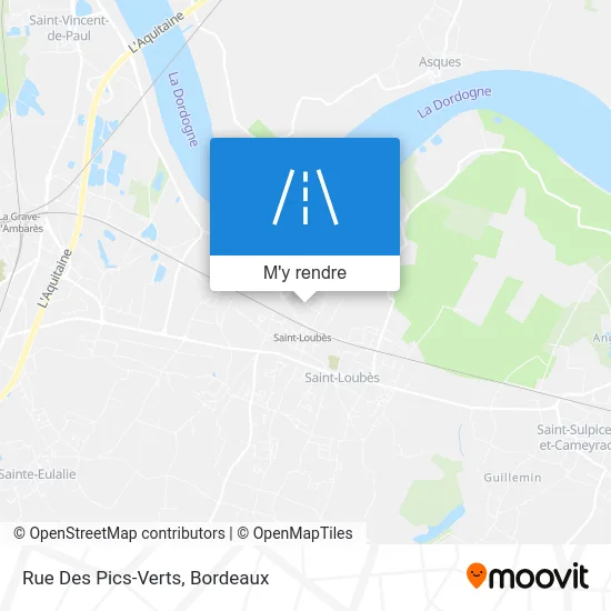 Rue Des Pics-Verts plan