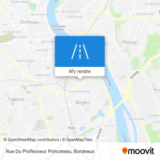 Rue Du Professeur Princeteau plan