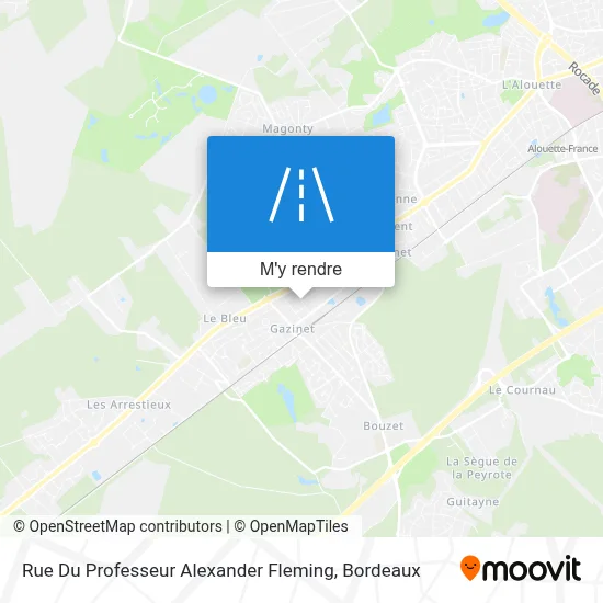 Rue Du Professeur Alexander Fleming plan