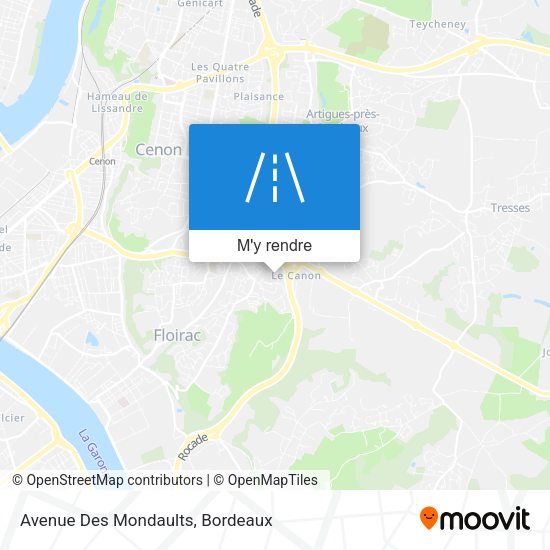 Avenue Des Mondaults plan