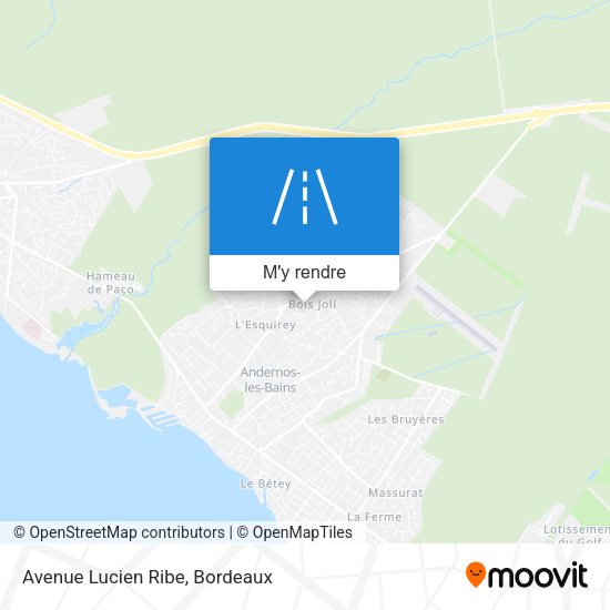 Avenue Lucien Ribe plan