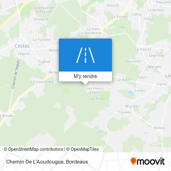 Chemin De L'Aoudougue plan