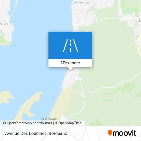 Avenue Des Loubines plan