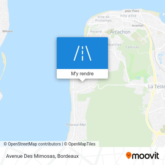 Avenue Des Mimosas plan