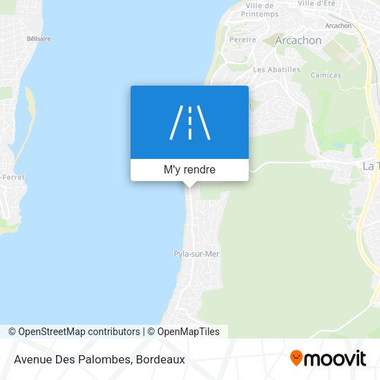Avenue Des Palombes plan