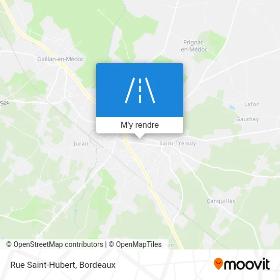 Rue Saint-Hubert plan