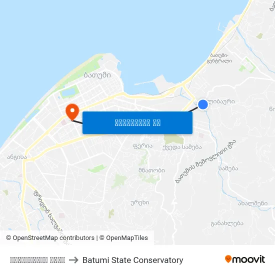ნონეშვილის ქუჩა to Batumi State Conservatory map