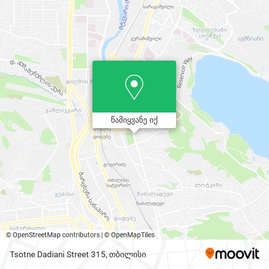 Tsotne Dadiani Street 315 რუკა