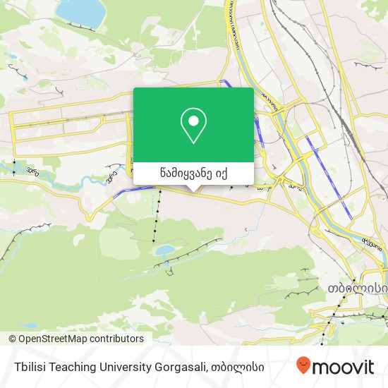 Tbilisi Teaching University Gorgasali რუკა