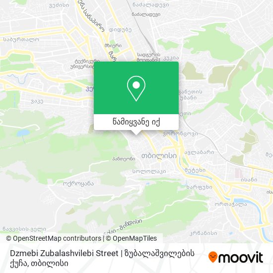 Dzmebi Zubalashvilebi Street | ზუბალაშვილების ქუჩა რუკა