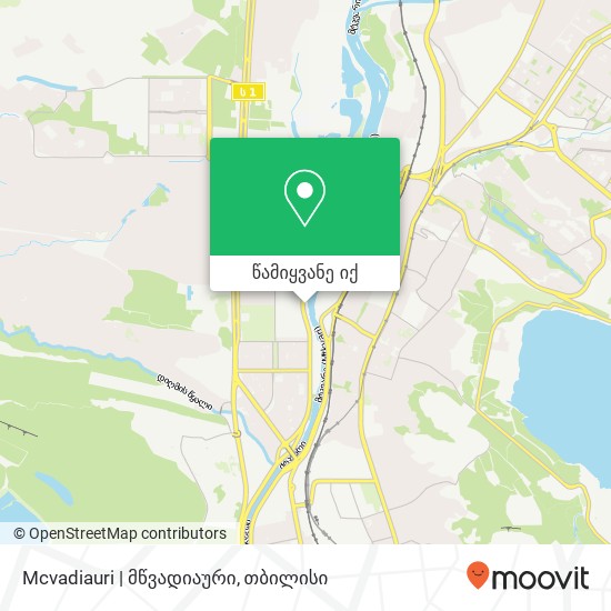 Mcvadiauri | მწვადიაური რუკა
