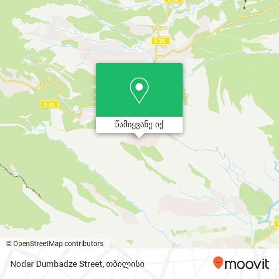 Nodar Dumbadze Street რუკა