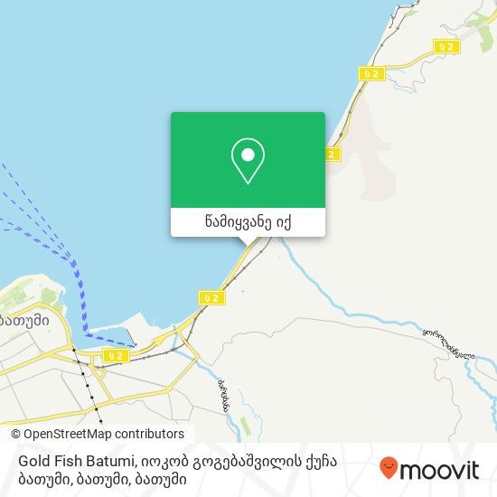 Gold Fish Batumi, იოკობ გოგებაშვილის ქუჩა ბათუმი, ბათუმი რუკა
