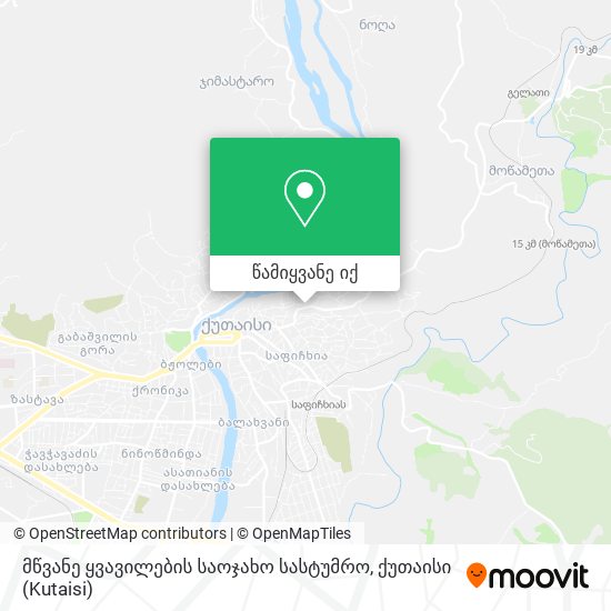 მწვანე ყვავილების საოჯახო სასტუმრო რუკა
