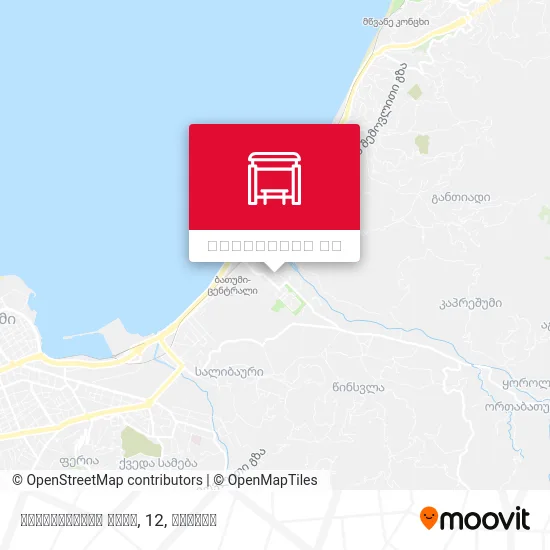 გრიშაშვილის ქუჩა, 12 რუკა