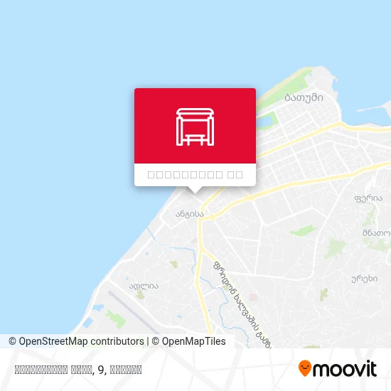 ინასარიძის ქუჩა, 9 რუკა