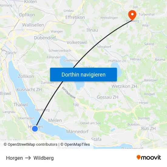 Horgen to Wildberg map