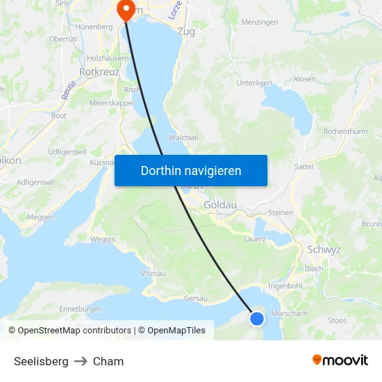 Seelisberg to Cham map