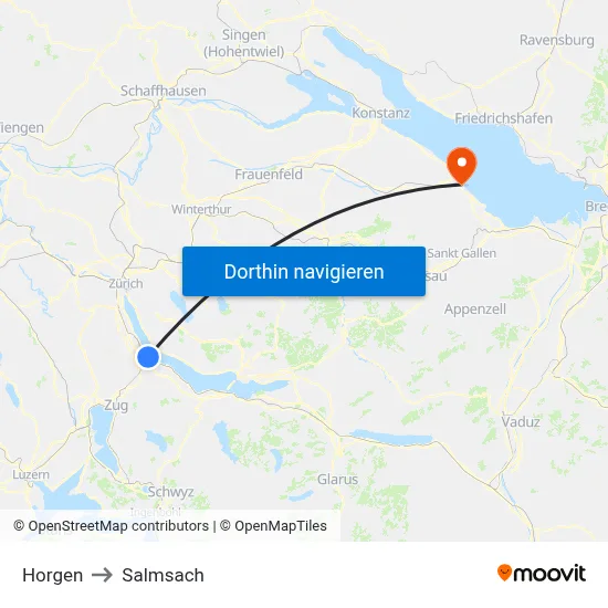 Horgen to Salmsach map
