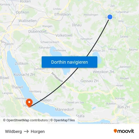 Wildberg to Horgen map