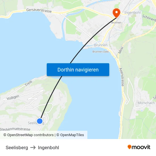 Seelisberg to Ingenbohl map
