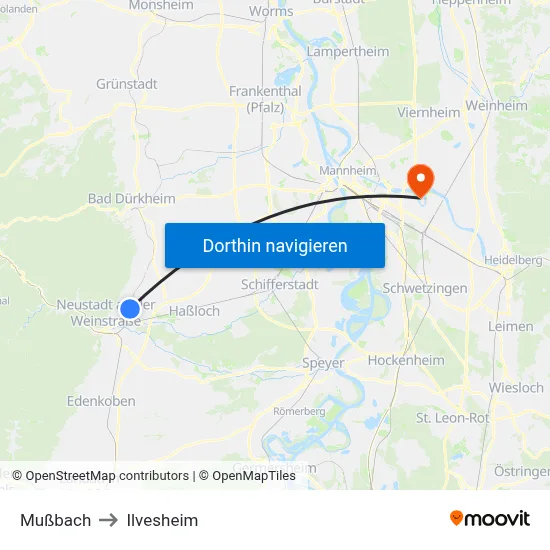 Mußbach to Ilvesheim map