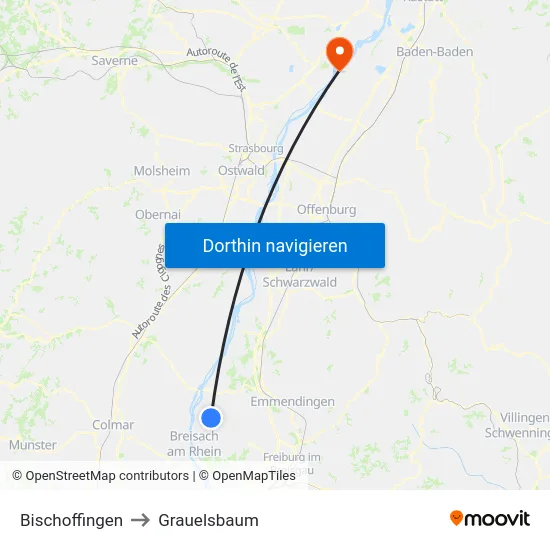 Bischoffingen to Grauelsbaum map