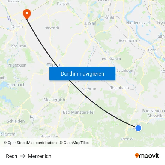 Rech to Merzenich map