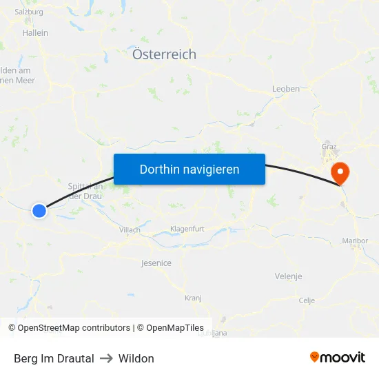 Berg Im Drautal to Wildon map