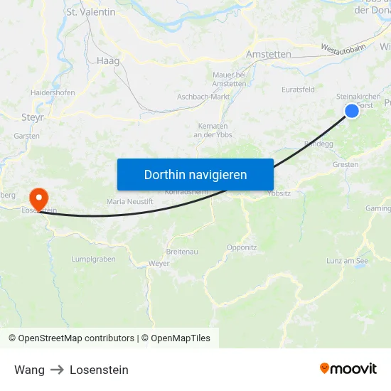 Wang to Losenstein map