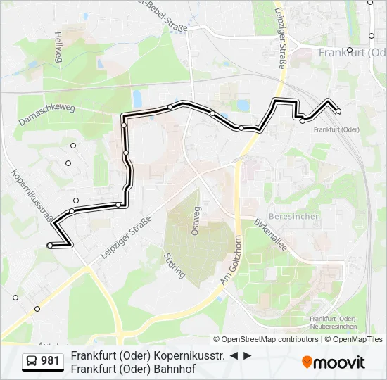 981 Bus Line Map