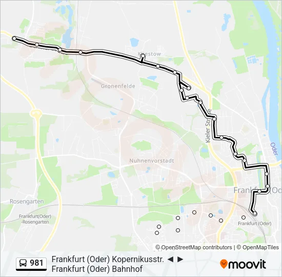 981 Bus Line Map