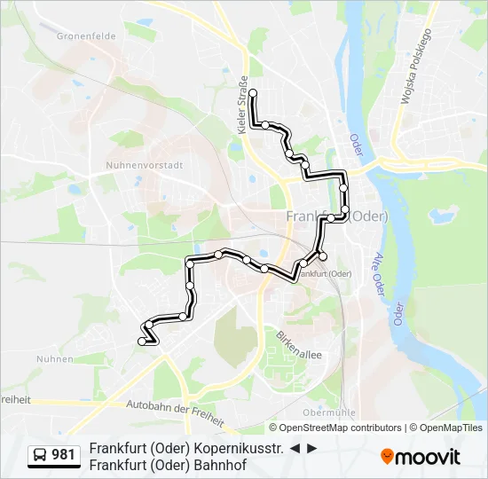 981 Bus Line Map