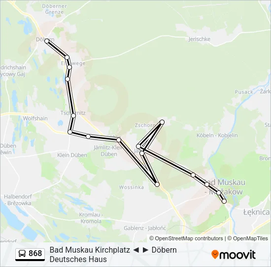 Автобус 868: карта маршрута