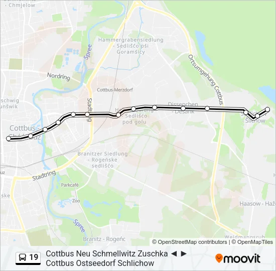 19 Bus Line Map