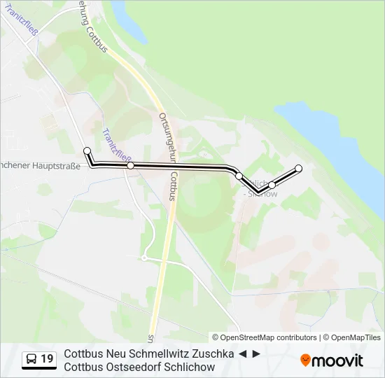 19 Bus Line Map