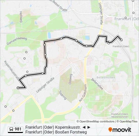 981 Bus Line Map