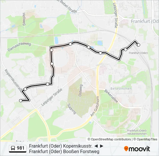 981 Bus Line Map