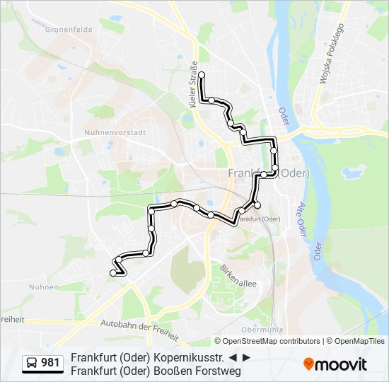 981 bus Line Map