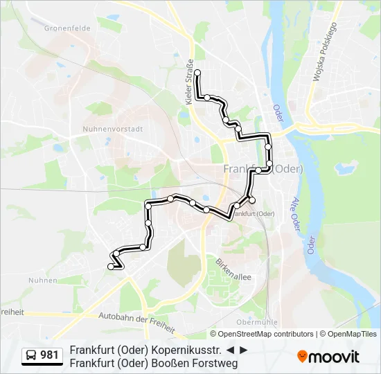 981 Bus Line Map