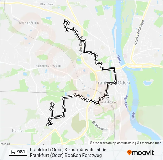 981 Bus Line Map