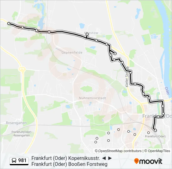 981 Bus Line Map