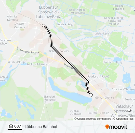 Автобус 607: карта маршрута