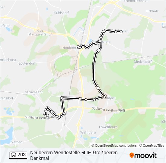 Автобус 703: карта маршрута